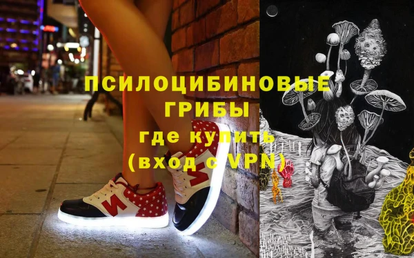 apvp Магадан