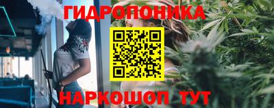 не бодяженный Бийск