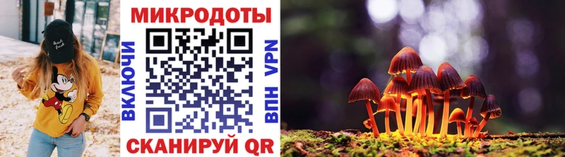 магазин продажи наркотиков  Серпухов  Галлюциногенные грибы Magic Shrooms 