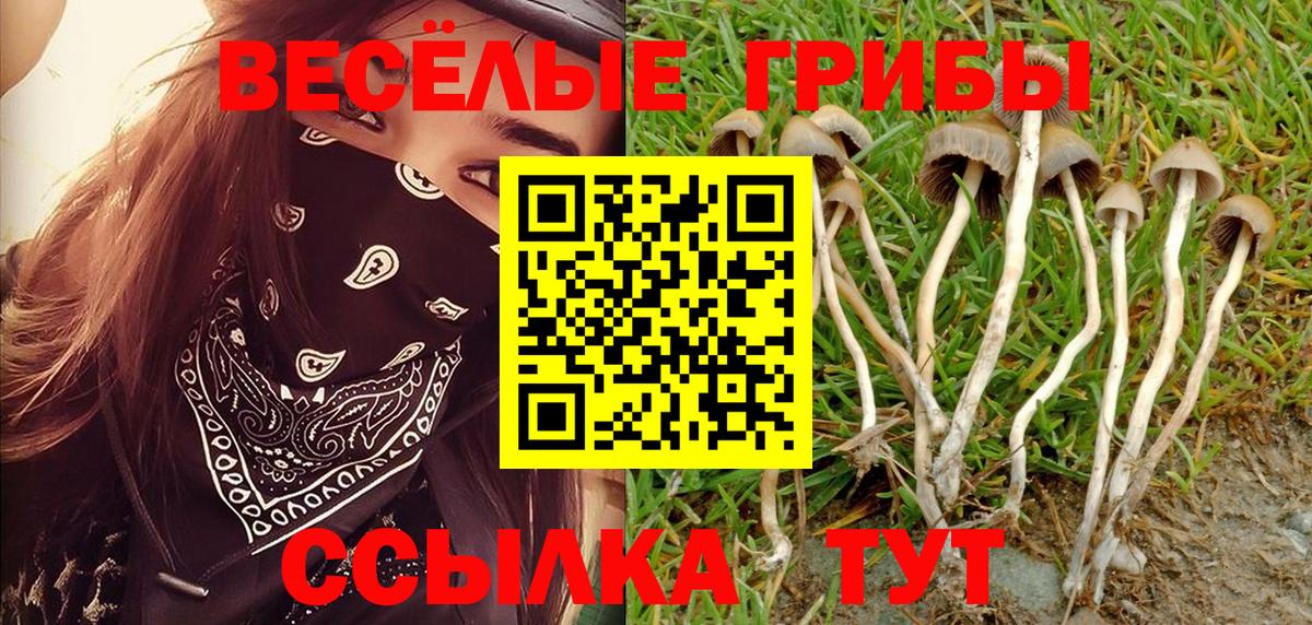 Серпухов  Псилоцибиновые грибы ЛСД  Вход с VPN  Псилоцибиновые грибы Psilocybine cubensis 
