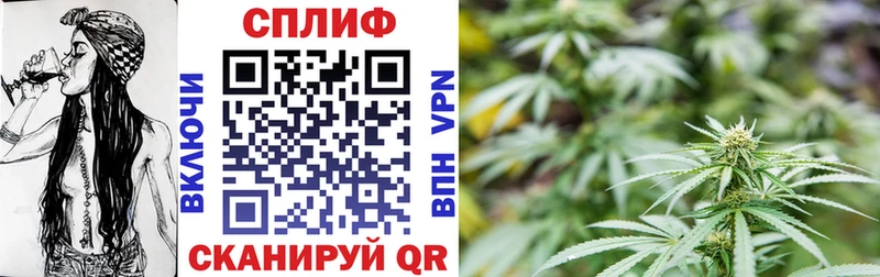 купить наркотики цена Серпухов Канабис White Widow